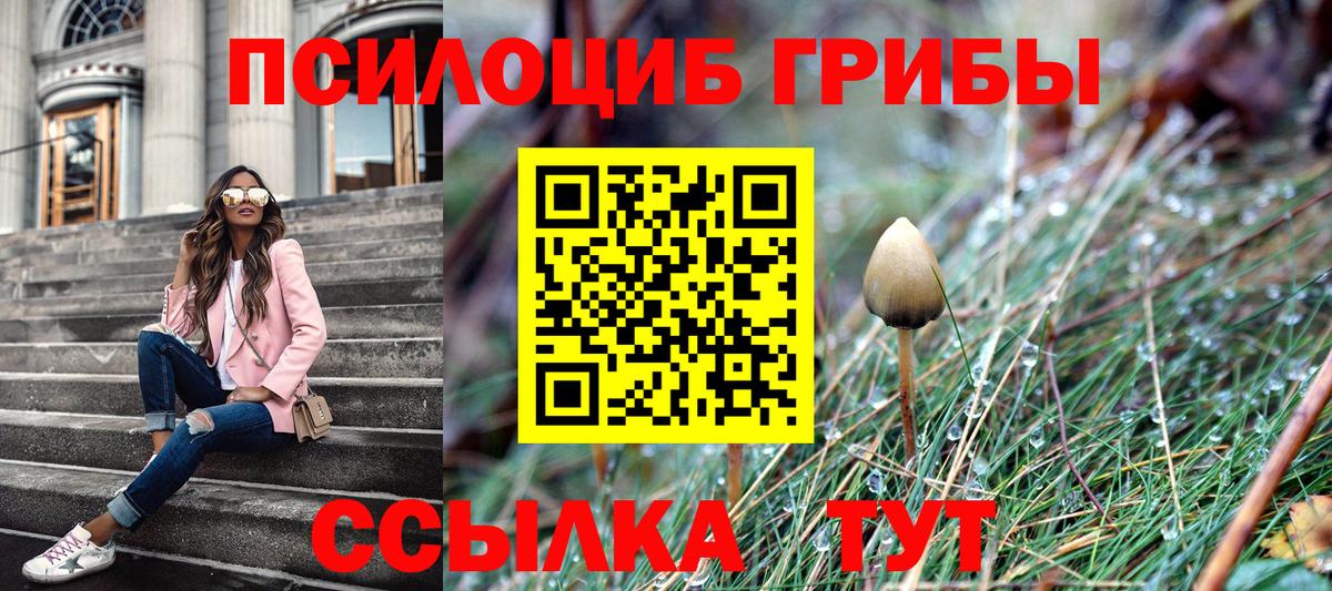 Галлюциногенные грибы ЛСД  Псилоцибиновые грибы GOLDEN TEACHER  Вход с VPN  Камень-на-Оби 