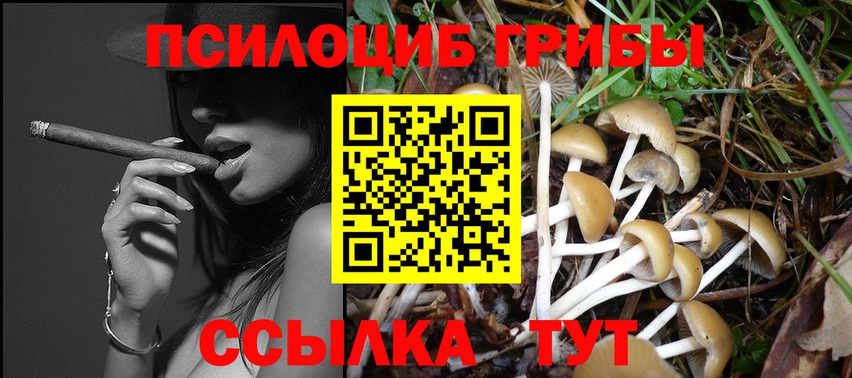 Псилоцибиновые грибы ЛСД Камень-на-Оби